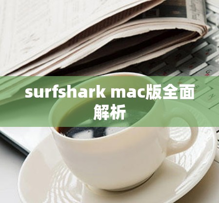 surfshark mac版全面解析
