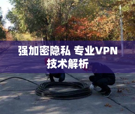 强加密隐私 专业VPN技术解析 强加密隐私 专业VPN技术解析