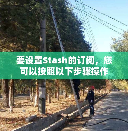 要设置Stash的订阅,您可以按照以下步骤操作 要设置Stash的订阅,您可以按照以下步骤操作