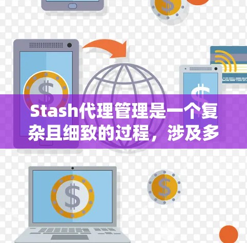 Stash代理管理是一个复杂且细致的过程，涉及多个方面，每个方面都有其独特的功能和要求。以下是对Stash代理管理的系统化总结