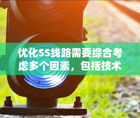 优化SS线路需要综合考虑多个因素，包括技术、成本和性能。以下是一个系统化的优化流程，帮助您有效优化SS线路