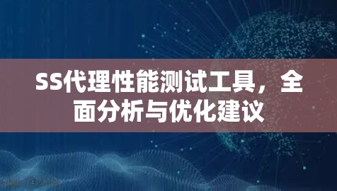 SS代理性能测试工具，全面分析与优化建议