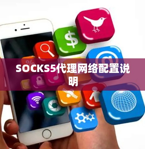 SOCKS5代理网络配置说明