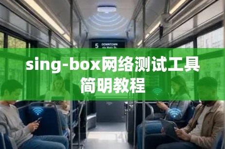 sing-box网络测试工具简明教程