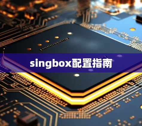 singbox配置指南 singbox配置指南