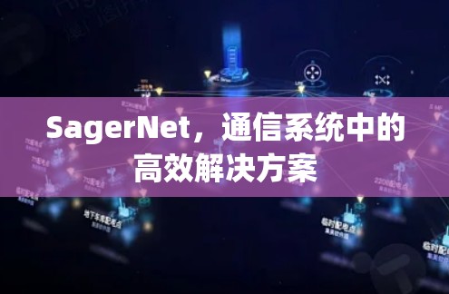SagerNet,通信系统中的高效解决方案 SagerNet,通信系统中的高效解决方案