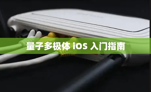 量子多极体 iOS 入门指南 量子多极体 iOS 入门指南