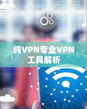 纯VPN专业VPN工具解析 纯VPN专业VPN工具解析