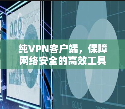 纯VPN客户端，保障网络安全的高效工具