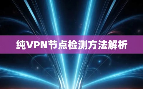 纯VPN节点检测方法解析