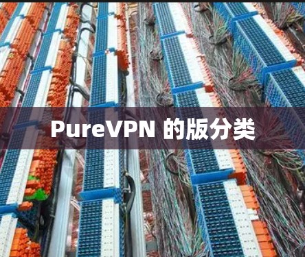 PureVPN 的版分类