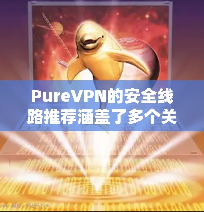 PureVPN的安全线路推荐涵盖了多个关键方面，以下是对每个方面的详细分析和推荐