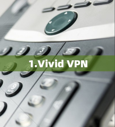 1.Vivid VPN
