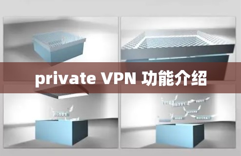 private VPN 功能介绍