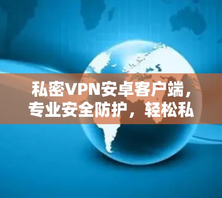 私密VPN安卓客户端，专业安全防护，轻松私密通信
