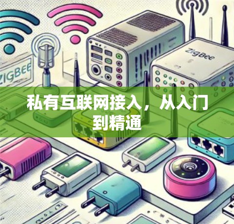 私有互联网接入,从入门到精通 私有互联网接入,从入门到精通
