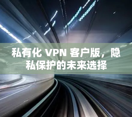 私有化 VPN 客户版，隐私保护的未来选择