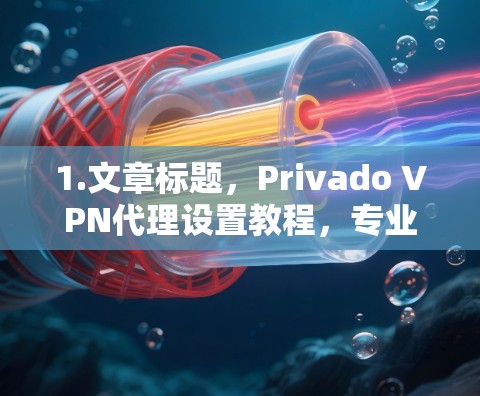 1.文章标题，Privado VPN代理设置教程，专业配置指南
