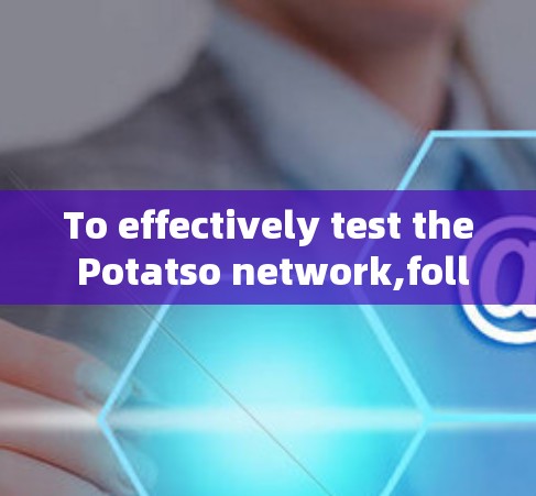 To effectively test the Potatso network,follow this structured approach: