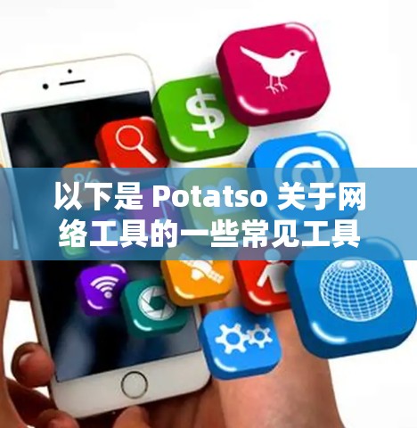 以下是 Potatso 关于网络工具的一些常见工具和用法