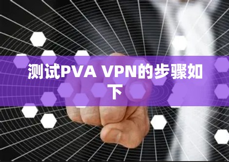 测试PVA VPN的步骤如下