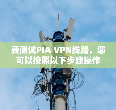 要测试PIA VPN线路，您可以按照以下步骤操作