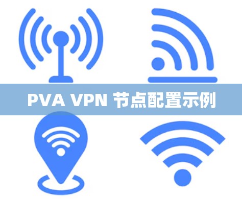 PVA VPN 节点配置示例