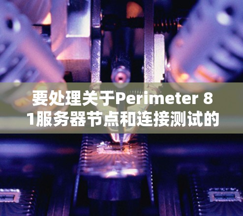 要处理关于Perimeter 81服务器节点和连接测试的问题，可以按照以下步骤进行