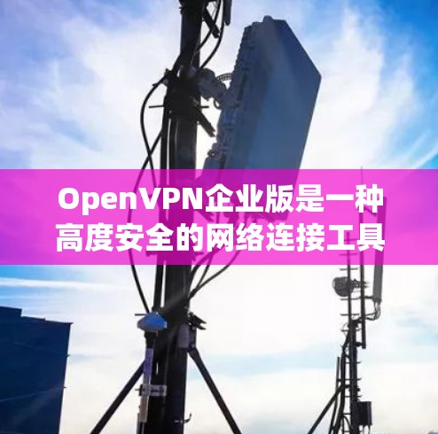 OpenVPN企业版是一种高度安全的网络连接工具，用于企业内部的内部连接和外部连接。以下是其账号管理的基本步骤