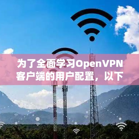 为了全面学习OpenVPN客户端的用户配置，以下是一个清晰的步骤指南，帮助你理解和操作