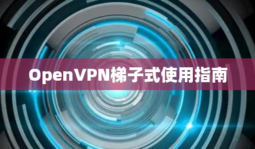 OpenVPN<strong>梯子</strong>式使用指南