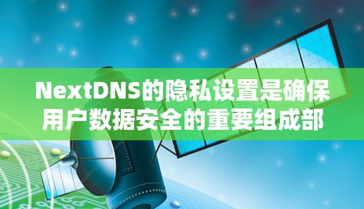 NextDNS的隐私设置是确保用户数据安全的重要组成部分，以下是详细的步骤和建议