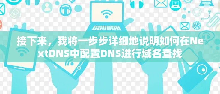 接下来，我将一步步详细地说明如何在NextDNS中配置DNS进行域名查找