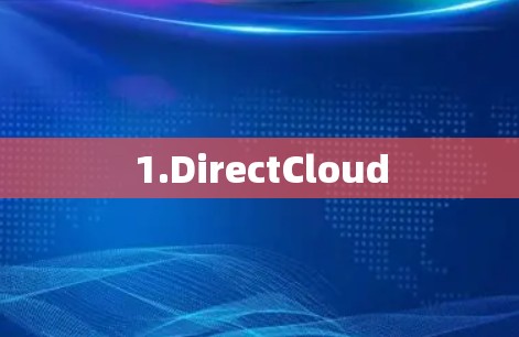 1.DirectCloud