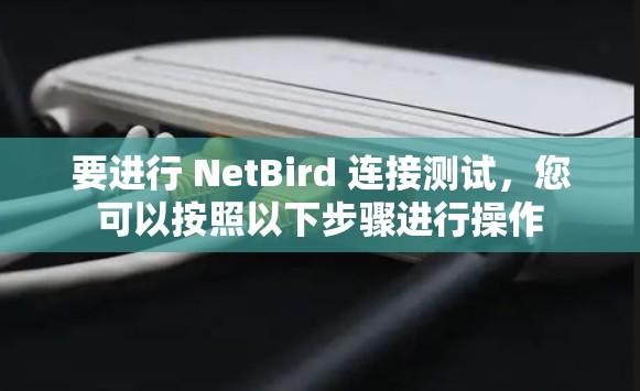 要进行 NetBird 连接测试，您可以按照以下步骤进行操作
