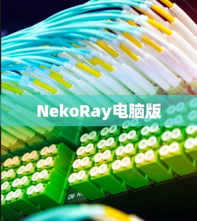 NekoRay电脑版