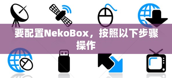 要配置NekoBox，按照以下步骤操作