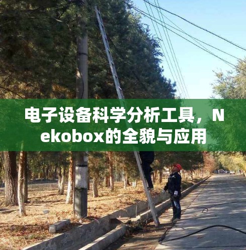 电子设备科学分析工具，Nekobox的全貌与应用