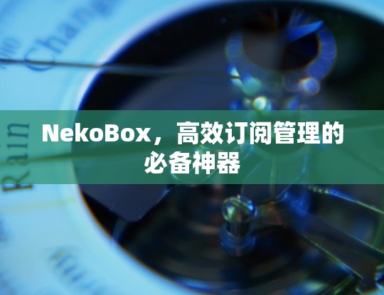 NekoBox，高效订阅管理的必备神器