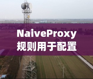 NaiveProxy规则用于配置HTTP POST请求中的form-data参数，允许在配置文件中设置参数的类型和限制。以下是详细的步骤和示例