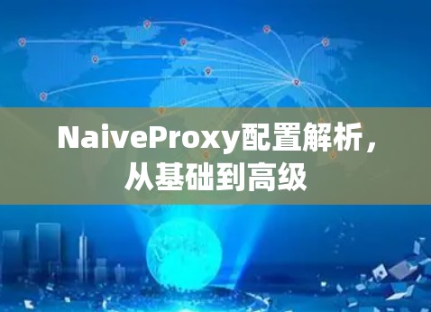 NaiveProxy配置解析，从基础到高级