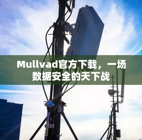 Mullvad官方下载,一场数据安全的天下战 Mullvad官方下载,一场数据安全的天下战