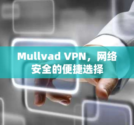 Mullvad VPN，网络安全的便捷选择