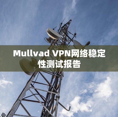 Mullvad VPN网络稳定性测试报告 Mullvad VPN网络稳定性测试报告