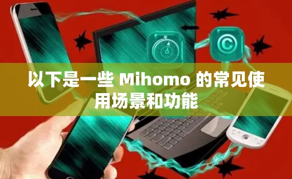 以下是一些 Mihomo 的常见使用场景和功能