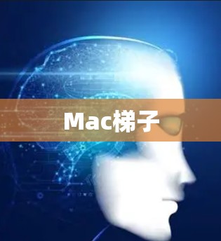 Mac<strong>梯子</strong>