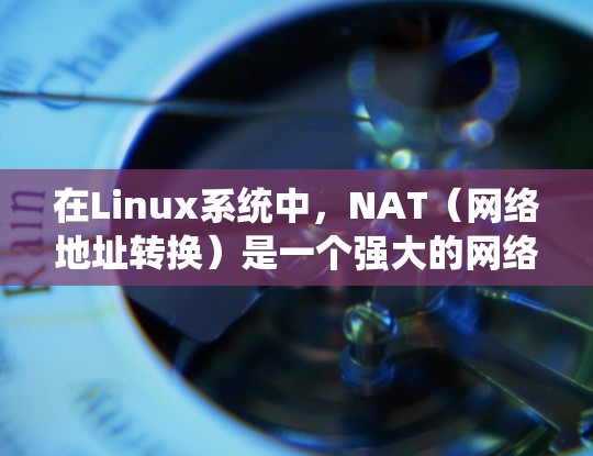 在Linux系统中，NAT（网络地址转换）是一个强大的网络工具，帮助统一管理网络设备，确保所有设备都能正确访问同一个服务器。以下是关于NAT的详细解释和步骤