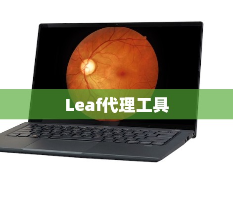Leaf代理工具 Leaf代理工具