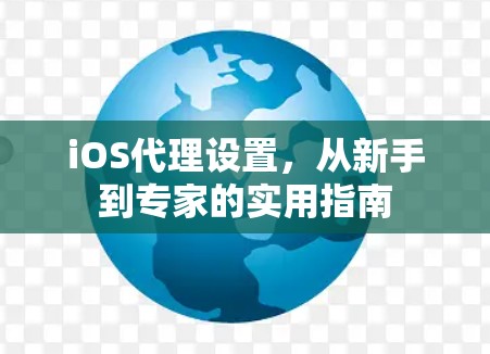 iOS代理设置，从新手到专家的实用指南