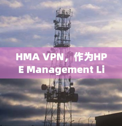 HMA VPN，作为HPE Management Limited的子公司，提供多种游戏加速配置，为玩家提供多样化的选择。以下是HMA VPN的主要配置及其特点